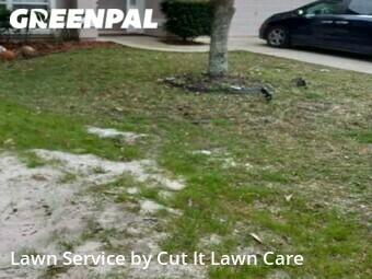 Lawn Cut nearby St. Augustine, FL, 