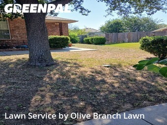 Lawn Service nearby Haslet, TX, 