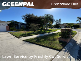 Yard Cuttingin Brandon,33511,Lawn Cutting by Freshly Cut Services, work completed in Oct , 2025