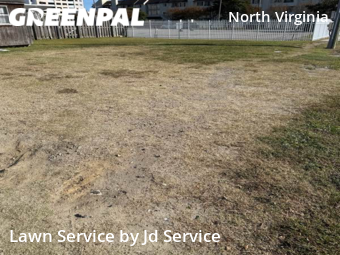 Lawn Cut nearby Virginia Beach, VA, 