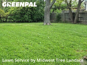 Yard Cutting nearby Matteson, IL, 