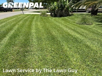 Yard Cutting nearby Fort Myers, FL, 