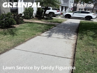Lawn Care Service nearby Tampa, FL, 