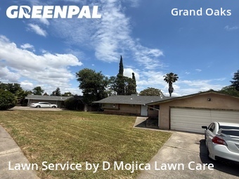 Grass Cut nearby Citrus Heights, CA, 