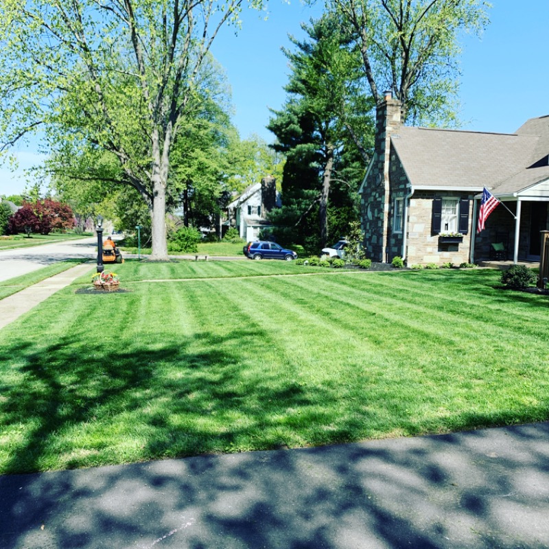local-lawn-maintenance-contractors-in-Upper Darby-PA