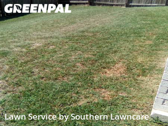 Lawn Cut nearby Killeen, TX, 