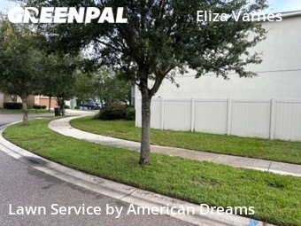 Yard Mowing nearby Brandon, FL, 