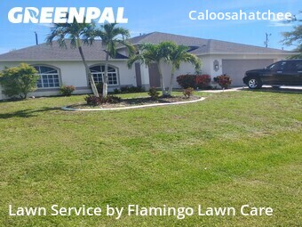 Lawn Cutting nearby Cape Coral, FL, 