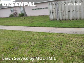 Grass Cut nearby Tampa, FL, 