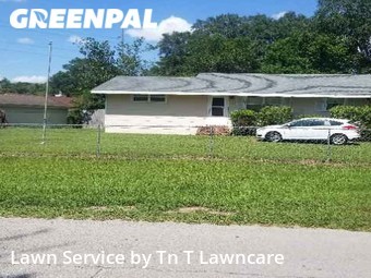 Grass Cut nearby Jacksonville, FL, 