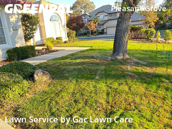 Lawn Maintenance nearby Roseville, CA, 