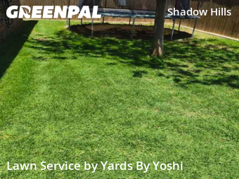 Lawn Care Service nearby Lubbock, TX, 