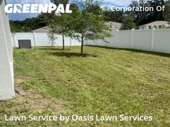 Grass Cut nearby De Land, FL, 