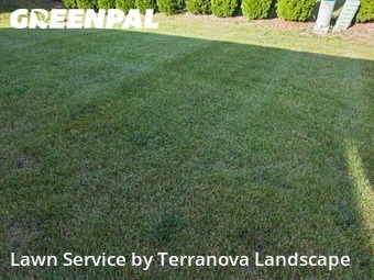 Yard Cutting in Lisle, 60532, Grass Cutting by Terranova Landscape, work completed in Nov , 2025