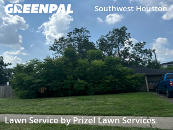 Lawn Mowingin Bellaire,77401,Yard Mowing by Prizel Lawn Services, work completed in Nov , 2025