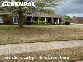 Lawn Mowing Service nearby New Market, AL, 