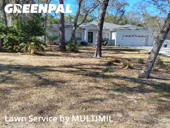 Lawn mowed in Temple Terrace, 33617