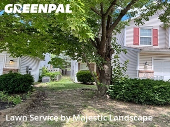 Grass Cut nearby Carmel, IN, 