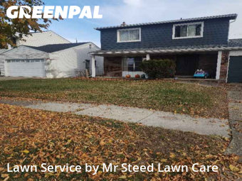 Grass Cut nearby Warren, MI, 