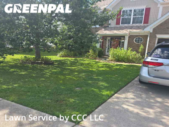 Grass Cut nearby Rock Hill, NC, 