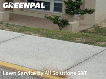 Yard Cutting nearby Haines City, FL, 