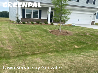 Lawn Mow nearby Four Oaks, NC, 