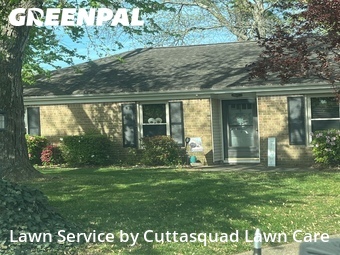 Yard Cutting nearby Virginia Beach, VA, 