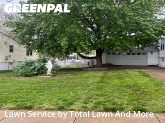 Yard Cutting nearby St. Louis, IL, 