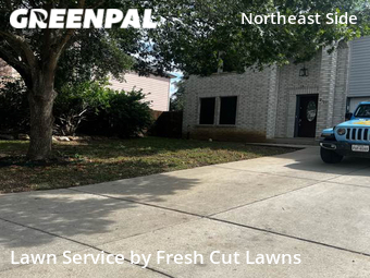 Lawn Mowing Service nearby Schertz, TX, 