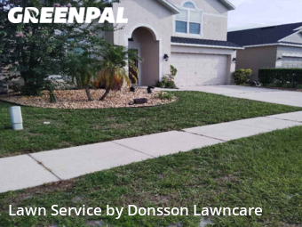 Grass Cut nearby Orlando, FL, 