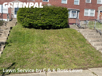 Lawn Cut nearby Baltimore, MD, 