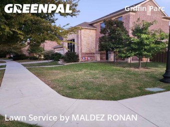 Lawn Care Servicein Frisco,75033,Lawn Mow by MALDEZ RONAN, work completed in Nov , 2025