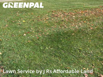 Lawn Care nearby Parma, OH, 