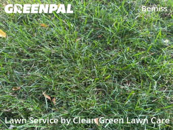 Grass Cut nearby Spokane, WA, 