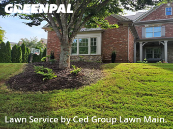 Yard Cutting nearby Cumming, GA, 