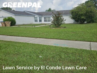 Yard Cutting nearby Kissimmee, FL, 