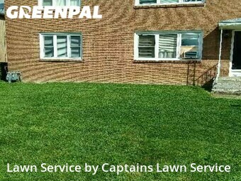 Lawn Mow nearby Buffalo, NY, 