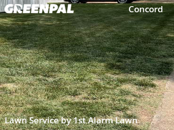 Yard Mowing nearby St. Louis, MO, 