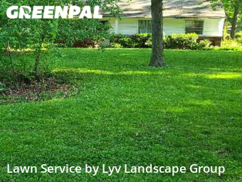 Lawn Mow nearby Clinton Township, MI, 