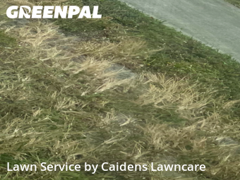 Lawn Cutting nearby El Portal, FL, 