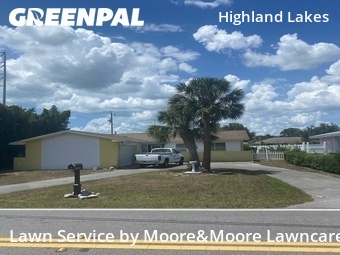 Grass Cut nearby Clearwater, FL, 