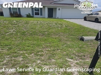 Lawn Cutting nearby Cape Coral, FL, 