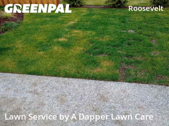 Yard Cutting nearby Bellingham, WA, 