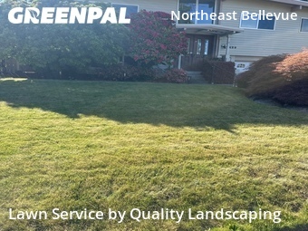 Grass Cut nearby Bellevue, WA, 