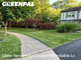 Lawn Cutting nearby Dublin, OH, 