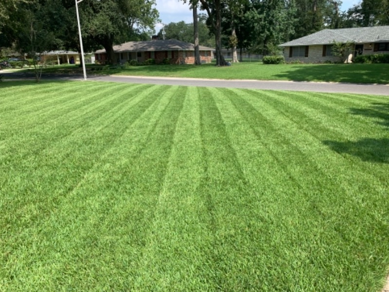 Jbc Lawn & Landscap Lawn Care Services in Baton Rouge, LA