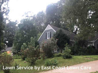 Lawn Maintenance nearby Decatur, GA, 