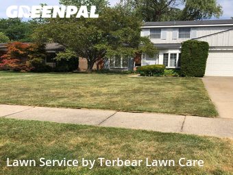 Grass Cut nearby Canton, MI, 