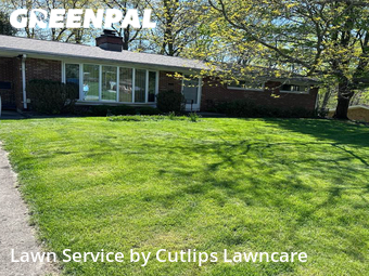 Lawn Mow nearby Springfield, OH, 