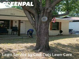 Lawn Cut nearby Fort Worth, TX, 